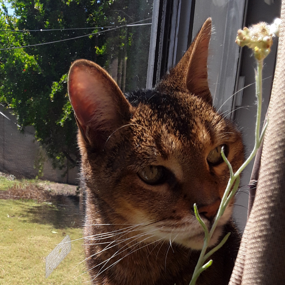 Meet your Posher, Ray